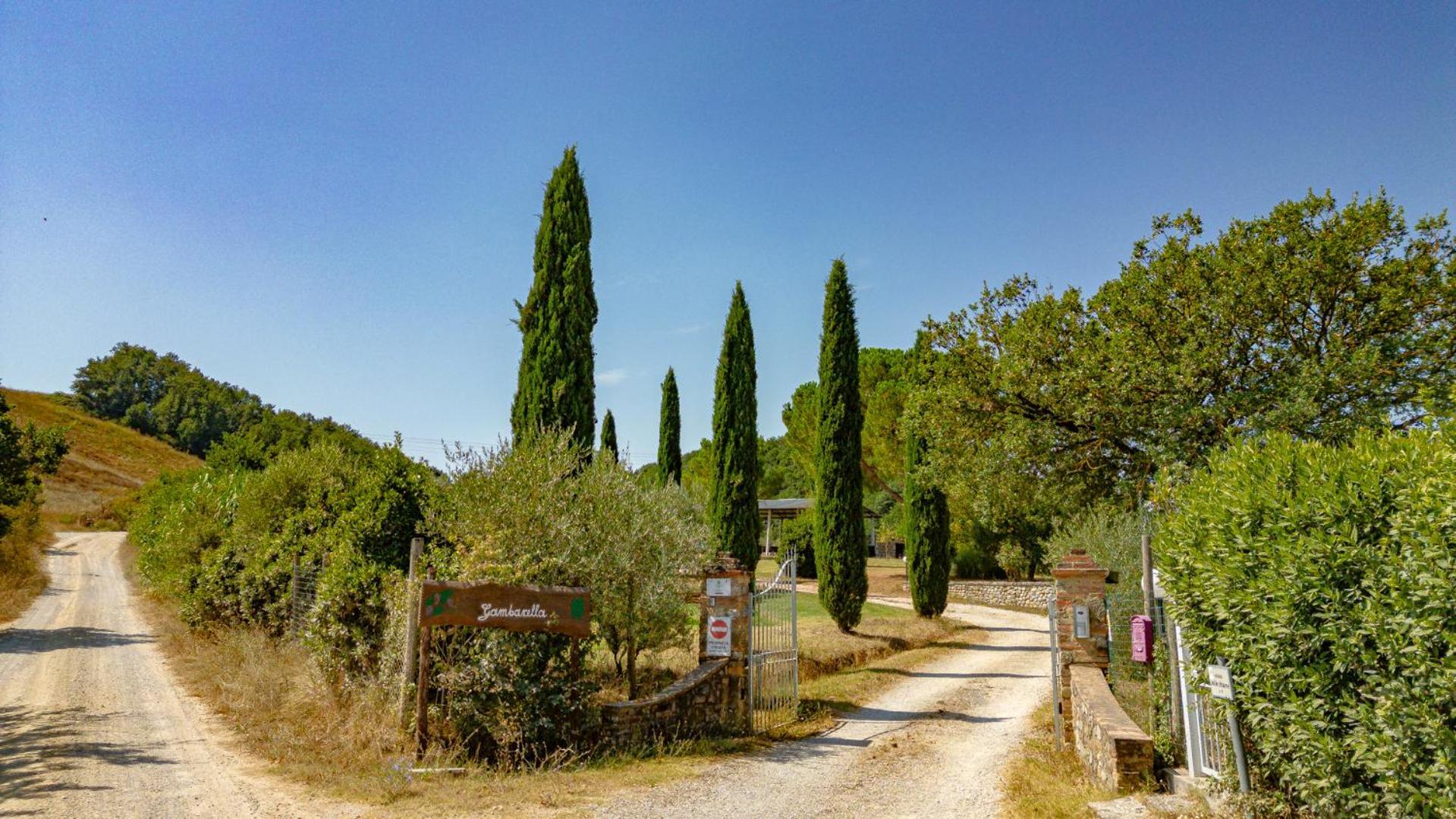 Ulivo-Chianti Charming Flat With Private Parking! Lejlighed Asciano Eksteriør billede